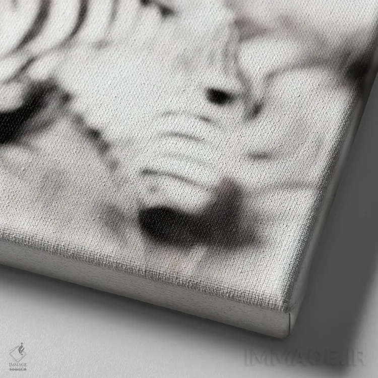 تابلو دکوراتیو Black And White,گورخرها، سیاه و سفید اثر جین ریکس - نمای نزدیک بافت بوم