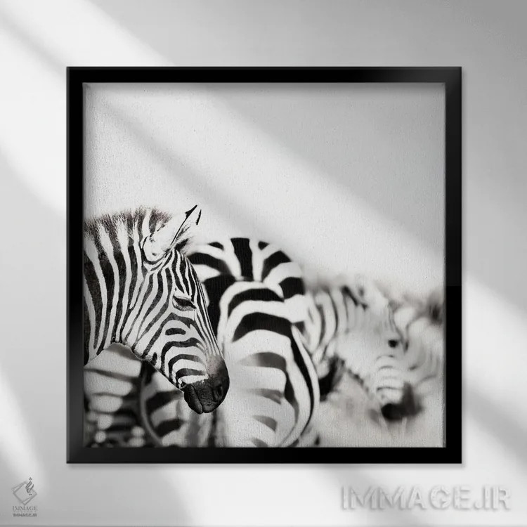 تابلو دکوراتیو Black And White,گورخرها، سیاه و سفید اثر جین ریکس - نمای قابدار مشکی