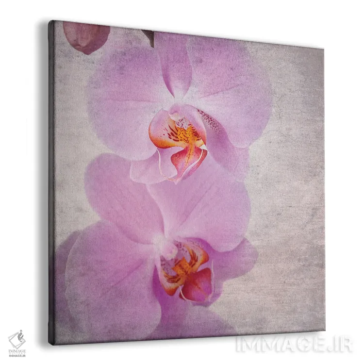 تابلو دکوراتیو Vintage Style,ارکیده صورتی به سبک قدیمی اثر جین ریکس - نمای پرسپکتیو محصول