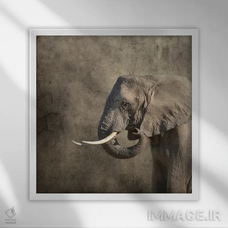 تابلو دکوراتیو پرتره فیل اثر جین ریکس - نمای قابدار سفید