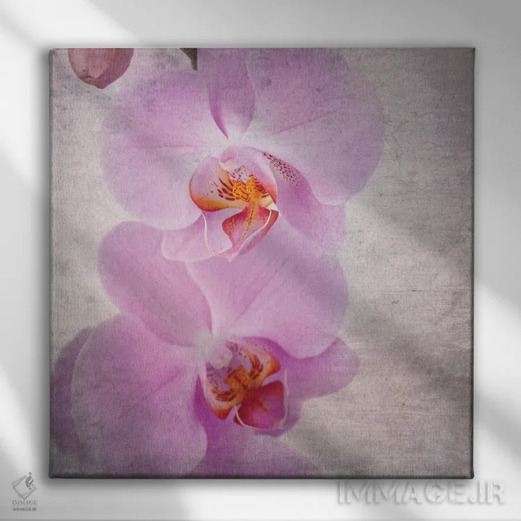 تابلو دکوراتیو Vintage Style,ارکیده صورتی به سبک قدیمی اثر جین ریکس - نمای روبهرو روی دیوار