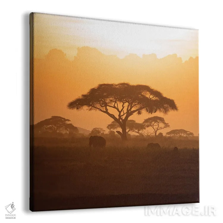 تابلو دکوراتیو فیل مادر و بچه در آمبوسلی هنگام غروب اثر جین ریکس - نمای پرسپکتیو محصول