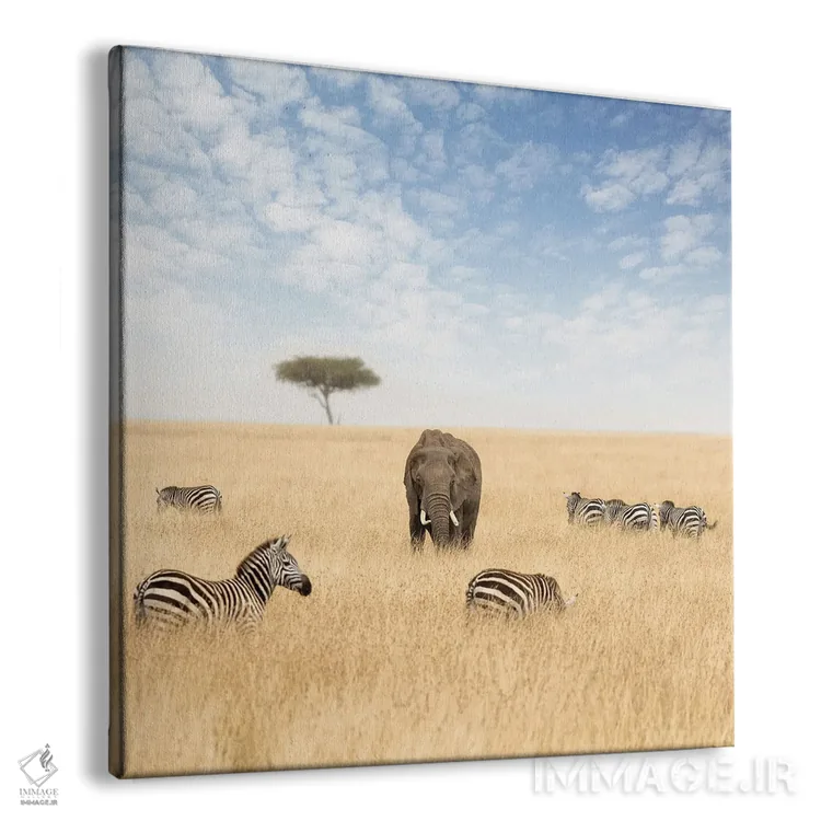 تابلو دکوراتیو یک فیل و چند گورخر در چمنزارهای ماسایی مارا اثر جین ریکس - نمای پرسپکتیو محصول