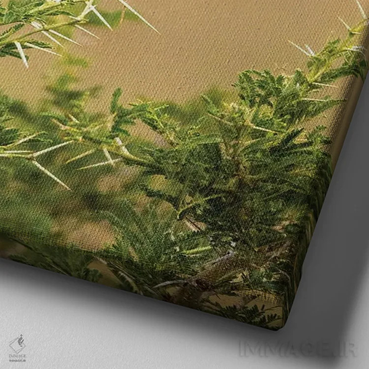 تابلو دکوراتیو پرنده لانگ کلاو گلو زرد اثر جین ریکس - نمای نزدیک بافت بوم