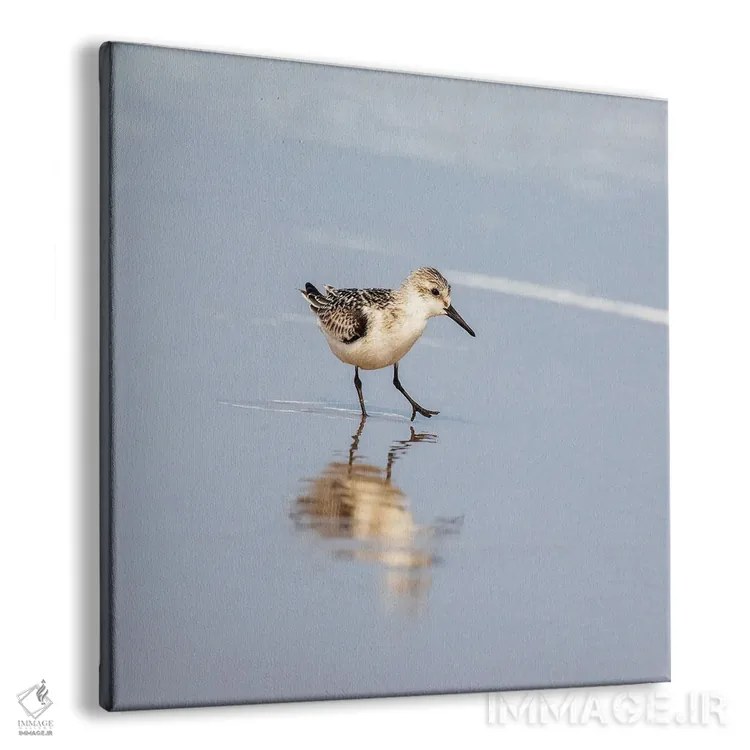 تابلو دکوراتیو بازتاب سندرلینگ اثر جین ریکس - نمای پرسپکتیو محصول