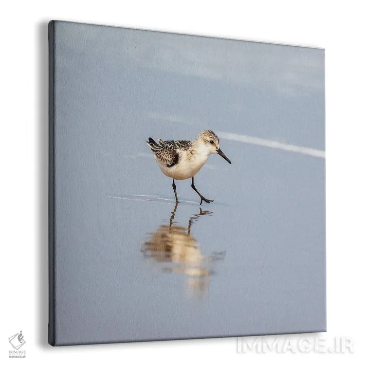 تابلو دکوراتیو بازتاب سندرلینگ اثر جین ریکس - نمای پرسپکتیو محصول