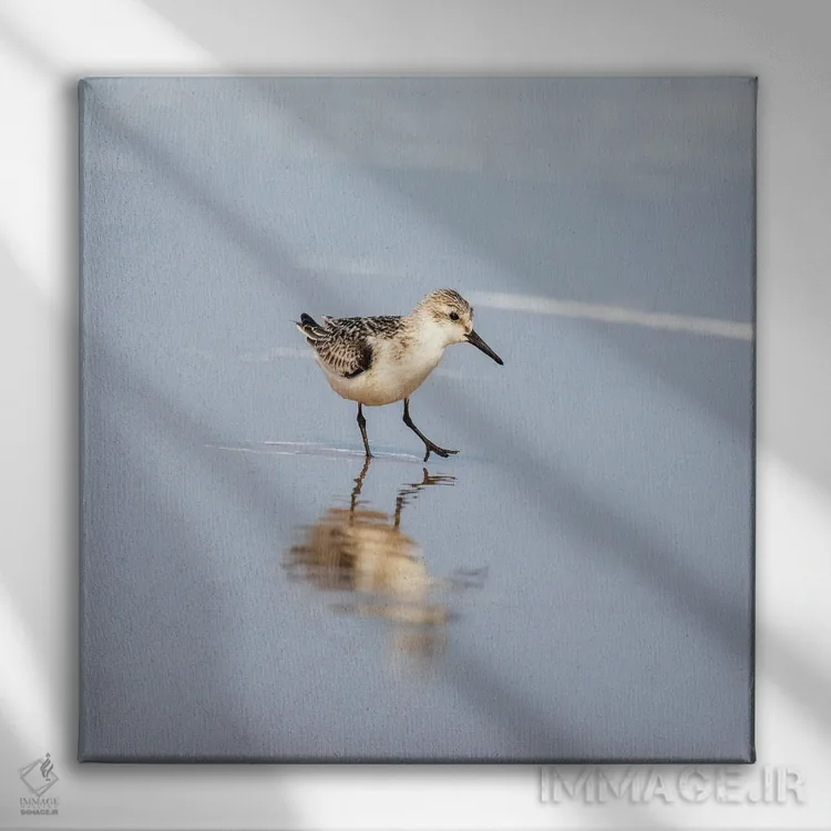 تابلو دکوراتیو بازتاب سندرلینگ اثر جین ریکس - نمای روبهرو روی دیوار