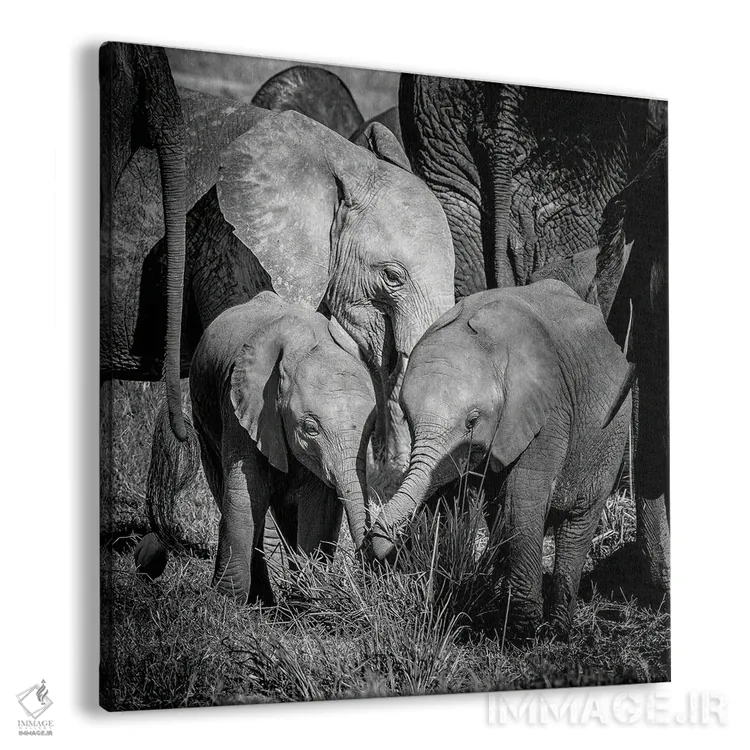 تابلو دکوراتیو گروه خانوادگی فیل ها اثر جین ریکس - نمای پرسپکتیو محصول