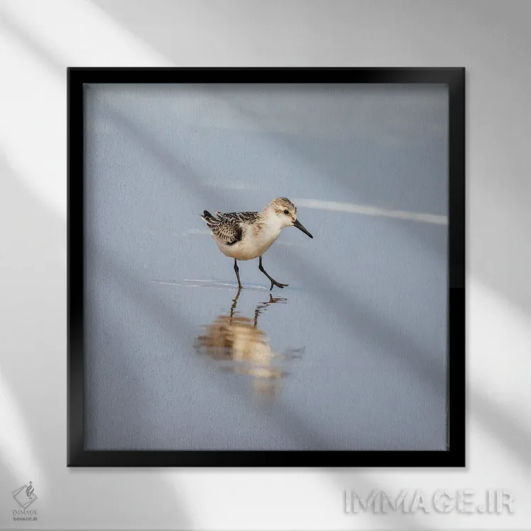 تابلو دکوراتیو بازتاب سندرلینگ اثر جین ریکس - نمای قابدار مشکی