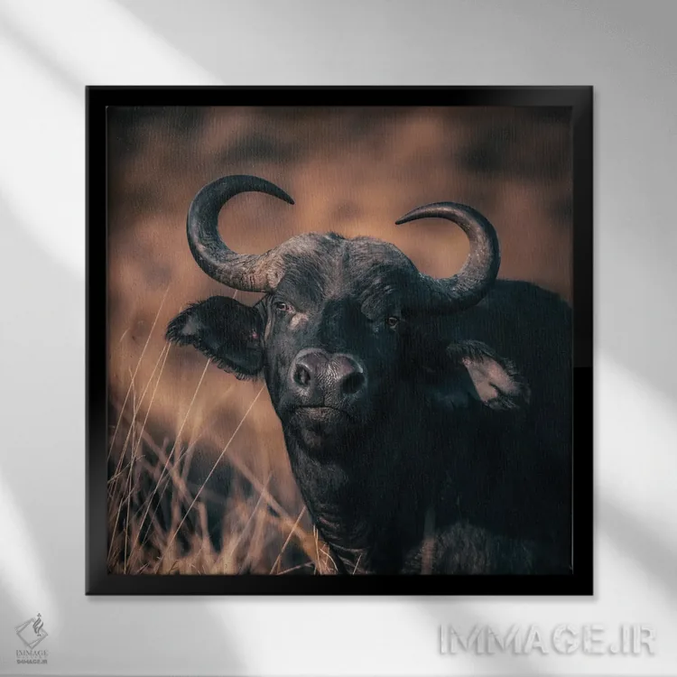 تابلو دکوراتیو پرتره گاومیش کیپ با رنگ های گرم اثر جین ریکس - نمای قابدار مشکی