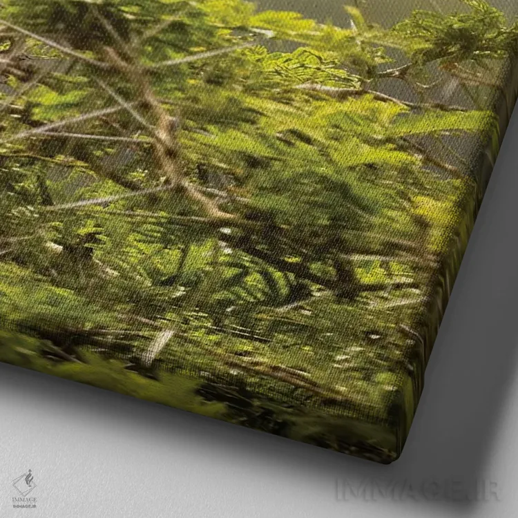 تابلو دکوراتیو Uganda,عقاب مارشال در پارک ملی ملکه الیزابت، اوگاندا اثر جین ریکس - نمای نزدیک بافت بوم