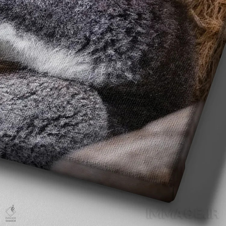 تابلو دکوراتیو کوالا روی درخت اثر جین ریکس - نمای نزدیک بافت بوم