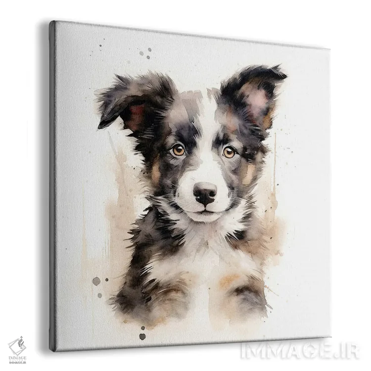 تابلو دکوراتیو سگ بردر کالی با آبرنگ اثر جین ریکس - نمای پرسپکتیو محصول