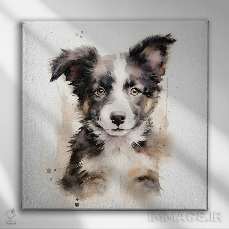 تابلو دکوراتیو سگ بردر کالی با آبرنگ اثر جین ریکس - نمای روبهرو روی دیوار
