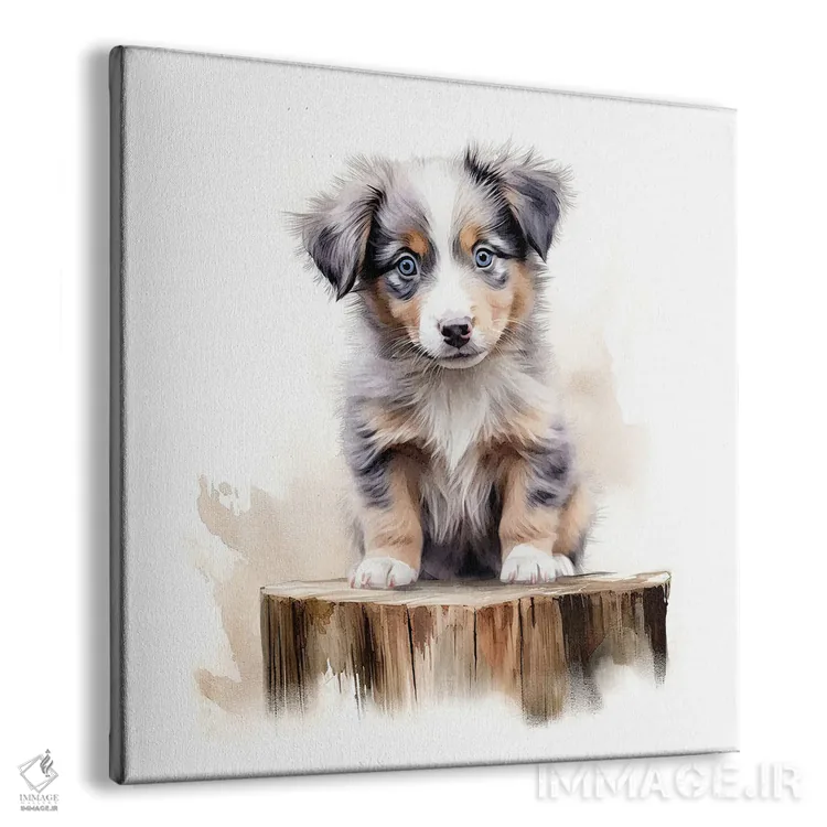 تابلو دکوراتیو توله استرالیایی شپرد اثر جین ریکس - نمای پرسپکتیو محصول
