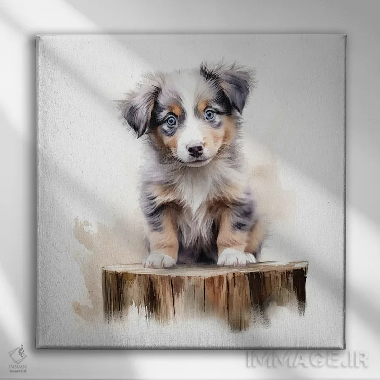 تابلو دکوراتیو توله استرالیایی شپرد اثر جین ریکس - نمای روبهرو روی دیوار