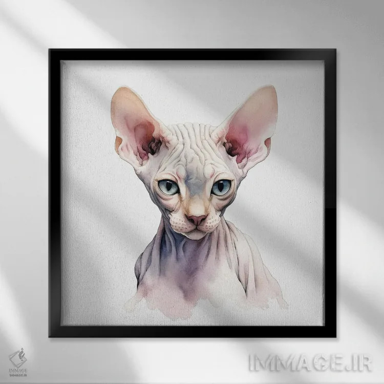 تابلو دکوراتیو پرتره گربه اسفینکس اثر جین ریکس - نمای قابدار مشکی
