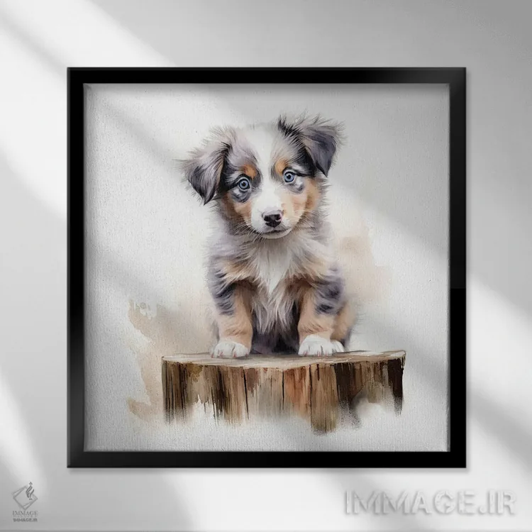 تابلو دکوراتیو توله استرالیایی شپرد اثر جین ریکس - نمای قابدار مشکی