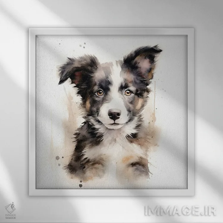 تابلو دکوراتیو سگ بردر کالی با آبرنگ اثر جین ریکس - نمای قابدار سفید