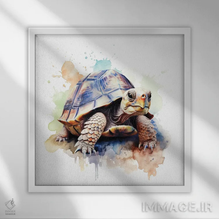 تابلو دکوراتیو لاک پشت با آبرنگ اثر جین ریکس - نمای قابدار سفید