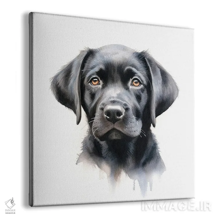 تابلو دکوراتیو پرتره لابرادور سیاه اثر جین ریکس - نمای پرسپکتیو محصول