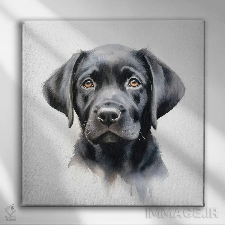 تابلو دکوراتیو پرتره لابرادور سیاه اثر جین ریکس - نمای روبهرو روی دیوار