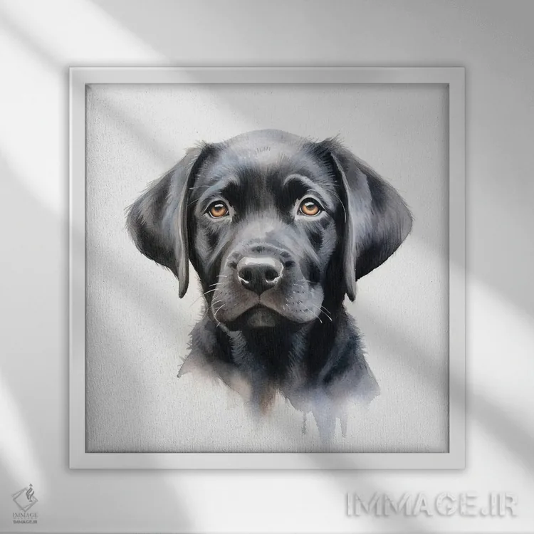 تابلو دکوراتیو پرتره لابرادور سیاه اثر جین ریکس - نمای قابدار سفید