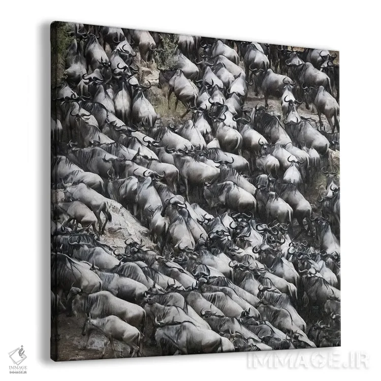 تابلو دکوراتیو کل یالدار در حال خروج از رود مارا اثر جین ریکس - نمای پرسپکتیو محصول