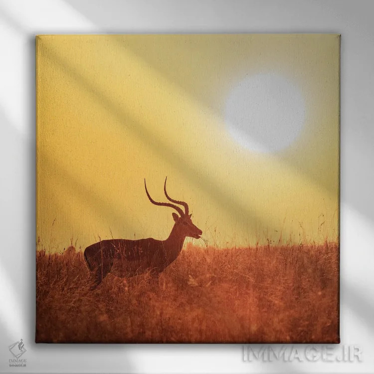 تابلو دکوراتیو Masai Mara,ایمپالا در حال چرا هنگام طلوع، ماسای مارا اثر جین ریکس - نمای روبهرو روی دیوار