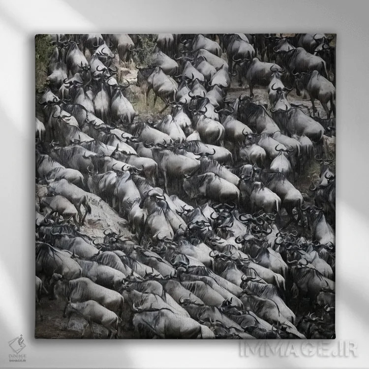 تابلو دکوراتیو کل یالدار در حال خروج از رود مارا اثر جین ریکس - نمای روبهرو روی دیوار