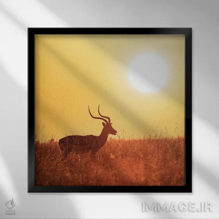 تابلو دکوراتیو Masai Mara,ایمپالا در حال چرا هنگام طلوع، ماسای مارا اثر جین ریکس - نمای قابدار مشکی