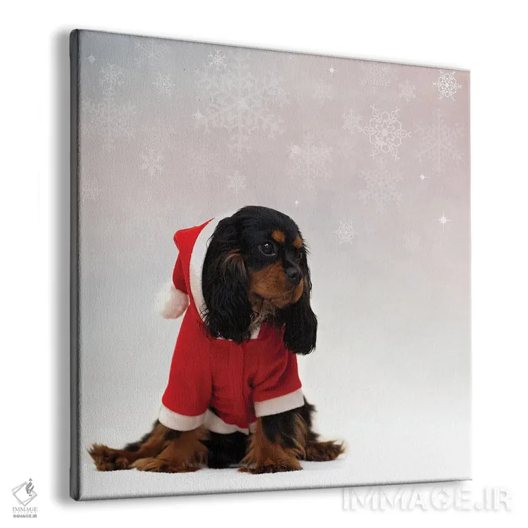 تابلو دکوراتیو اسپانیل کاوالیر کینگ چارلز با پس زمینه کریسمس اثر جین ریکس - نمای پرسپکتیو محصول