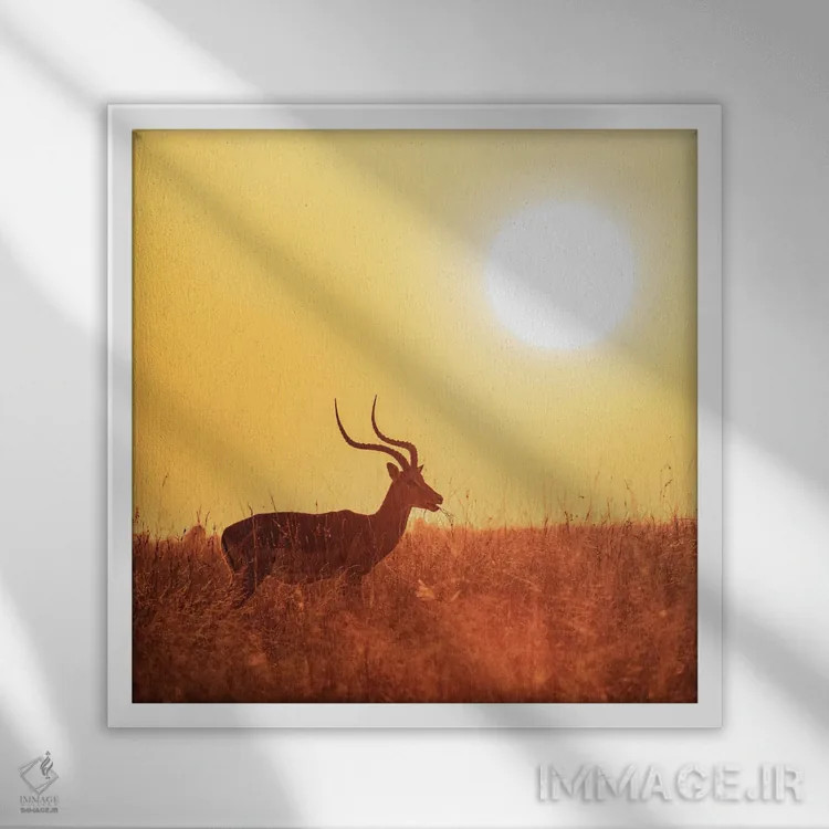 تابلو دکوراتیو Masai Mara,ایمپالا در حال چرا هنگام طلوع، ماسای مارا اثر جین ریکس - نمای قابدار سفید