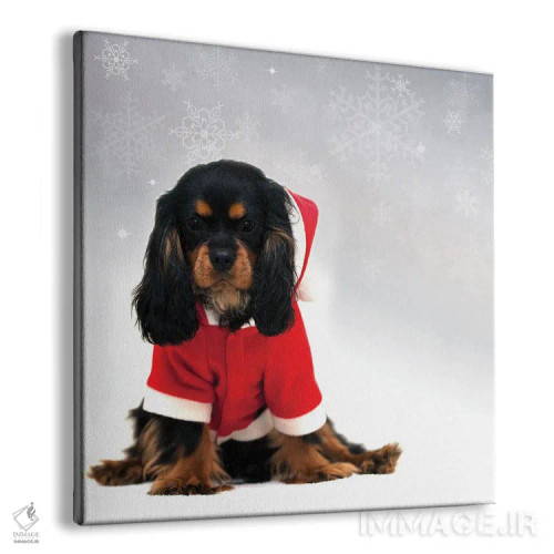 تابلو دکوراتیو اسپانیل کاوالیر کینگ چارلز با پس زمینه برف در حال بارش اثر جین ریکس - نمای پرسپکتیو محصول