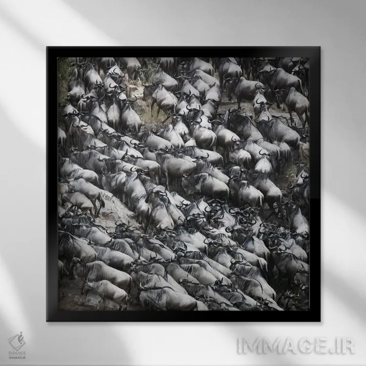 تابلو دکوراتیو کل یالدار در حال خروج از رود مارا اثر جین ریکس - نمای قابدار مشکی