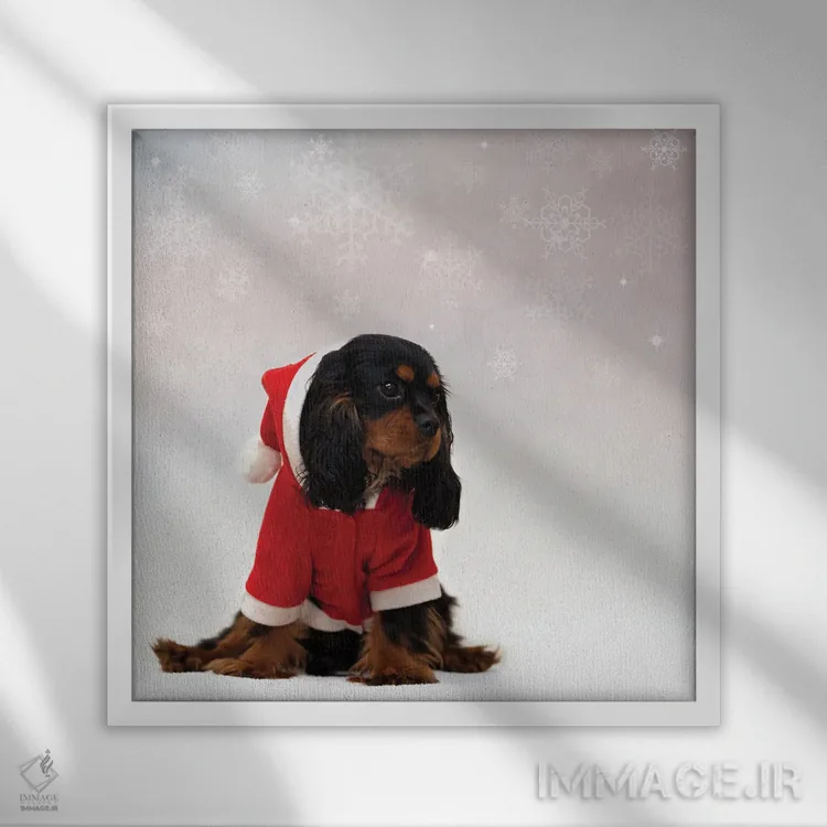 تابلو دکوراتیو اسپانیل کاوالیر کینگ چارلز با پس زمینه کریسمس اثر جین ریکس - نمای قابدار سفید