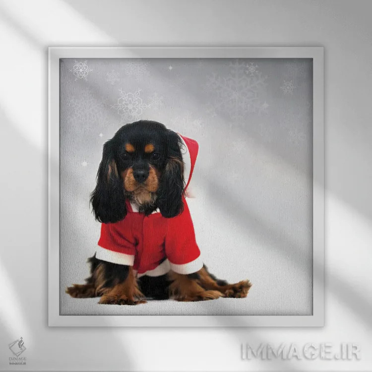 تابلو دکوراتیو اسپانیل کاوالیر کینگ چارلز با پس زمینه برف در حال بارش اثر جین ریکس - نمای قابدار سفید