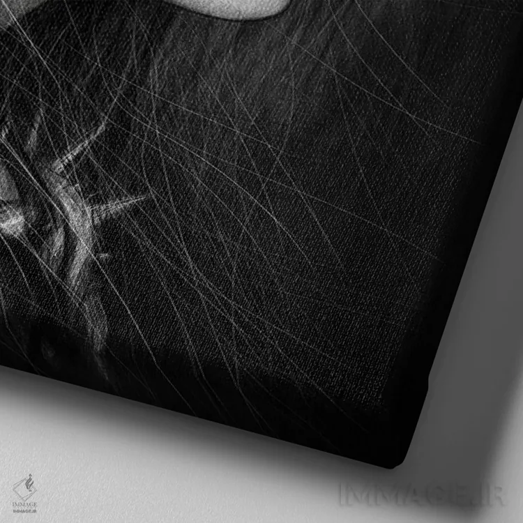 تابلو دکوراتیو جمجمه اثر جاستین گداک - نمای نزدیک بافت بوم