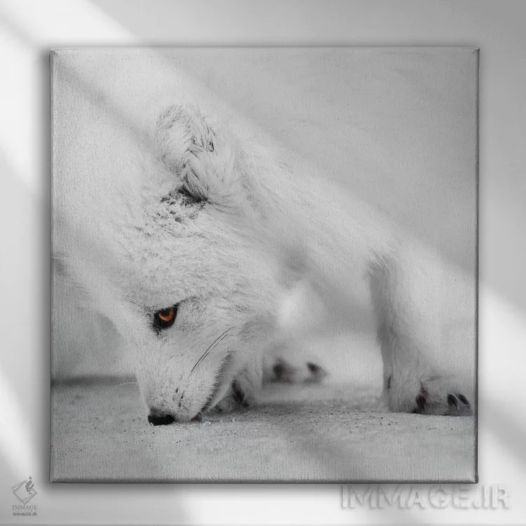 تابلو دکوراتیو جستجو برای غذا اثر جو شاتر - نمای روبهرو روی دیوار