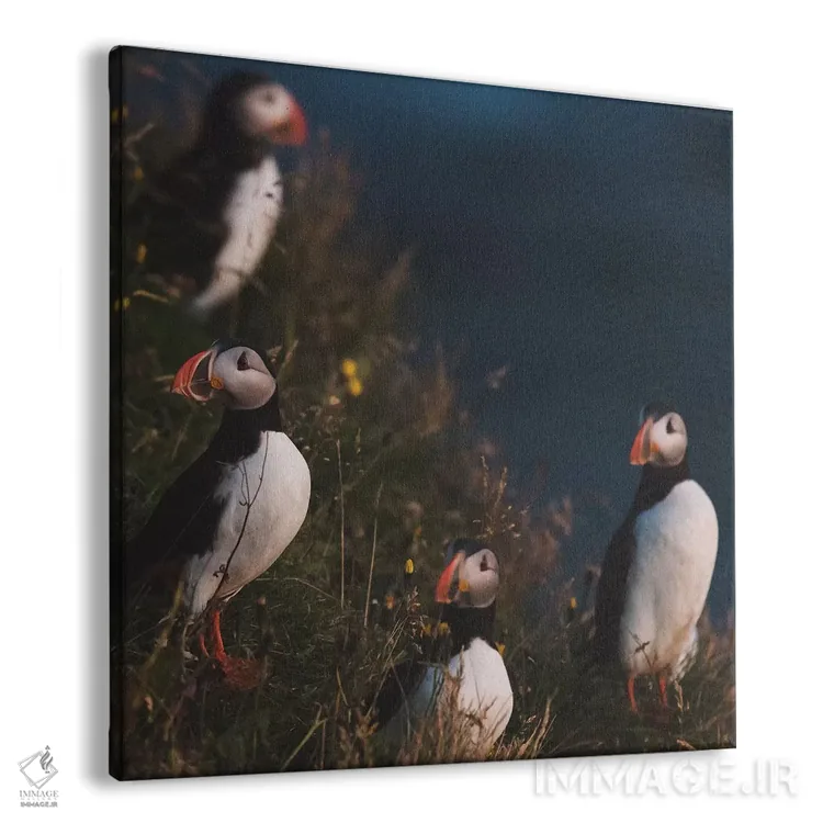 تابلو دکوراتیو پس از پرواز اثر جو شاتر - نمای پرسپکتیو محصول