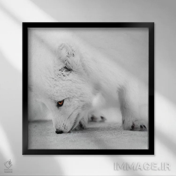 تابلو دکوراتیو جستجو برای غذا اثر جو شاتر - نمای قابدار مشکی