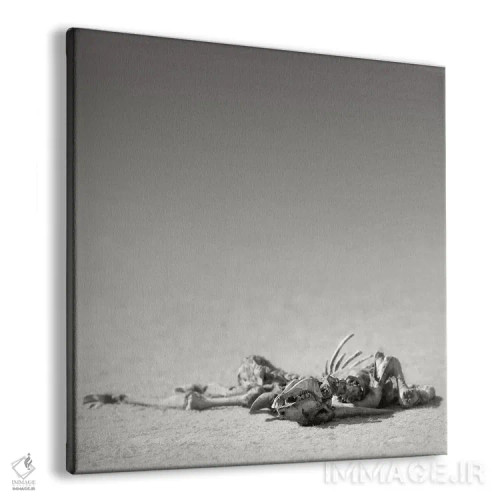 تابلو دکوراتیو اسکلت ایلند در صحرا اثر یوهان سوانپوئل - نمای پرسپکتیو محصول