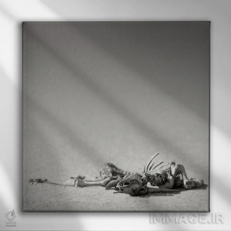 تابلو دکوراتیو اسکلت ایلند در صحرا اثر یوهان سوانپوئل - نمای روبهرو روی دیوار