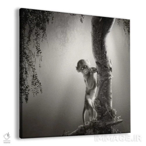 تابلو دکوراتیو بچه بابون اثر یوهان سوانپوئل - نمای پرسپکتیو محصول