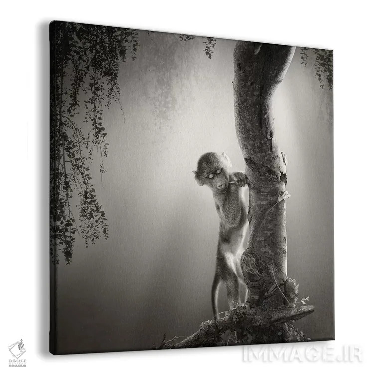 تابلو دکوراتیو بچه بابون اثر یوهان سوانپوئل - نمای پرسپکتیو محصول
