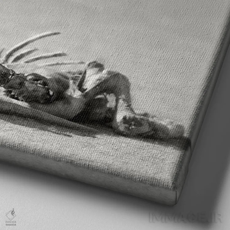 تابلو دکوراتیو اسکلت ایلند در صحرا اثر یوهان سوانپوئل - نمای نزدیک بافت بوم