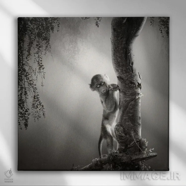 تابلو دکوراتیو بچه بابون اثر یوهان سوانپوئل - نمای روبهرو روی دیوار