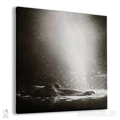 تابلو دکوراتیو اسب آبی در حال دمیدن هوا اثر یوهان سوانپوئل - نمای پرسپکتیو محصول