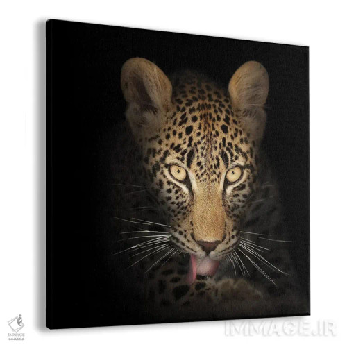 تابلو دکوراتیو پلنگ در تاریکی اثر یوهان سوانپوئل - نمای پرسپکتیو محصول