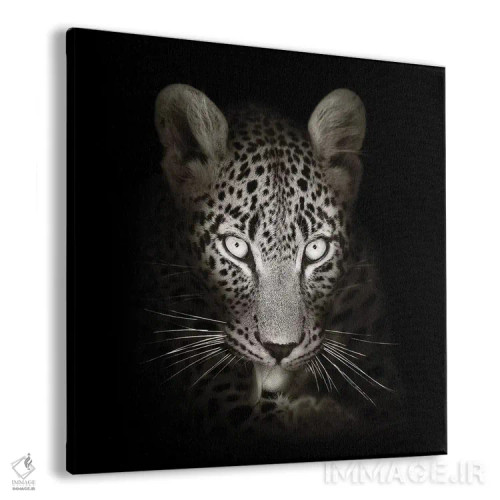 تابلو دکوراتیو پرتره پلنگ در تاریکی اثر یوهان سوانپوئل - نمای پرسپکتیو محصول